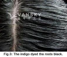 260120134029_Hair-Dyed with indigo-s.jpg